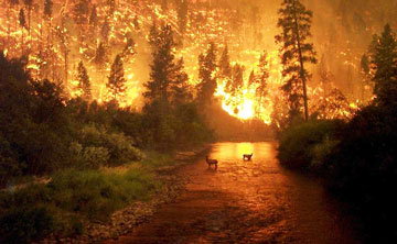 Conflagration in California, June, 2008