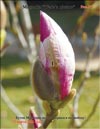 Magnolia «Wada’s picture»