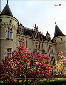Magnolias ant the background of our castle