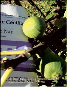 Figs at the end of October