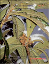 Japanese plum – Photinia Japonica