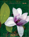 Magnolia «Elvina»