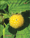 Yellow raspberry (Rubus ellipticus)